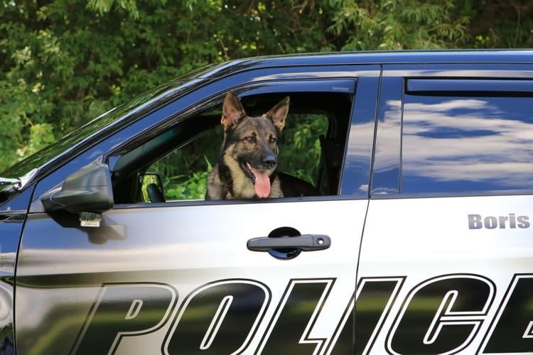 McFarland Police may add second K9 unit | News | hngnews.com