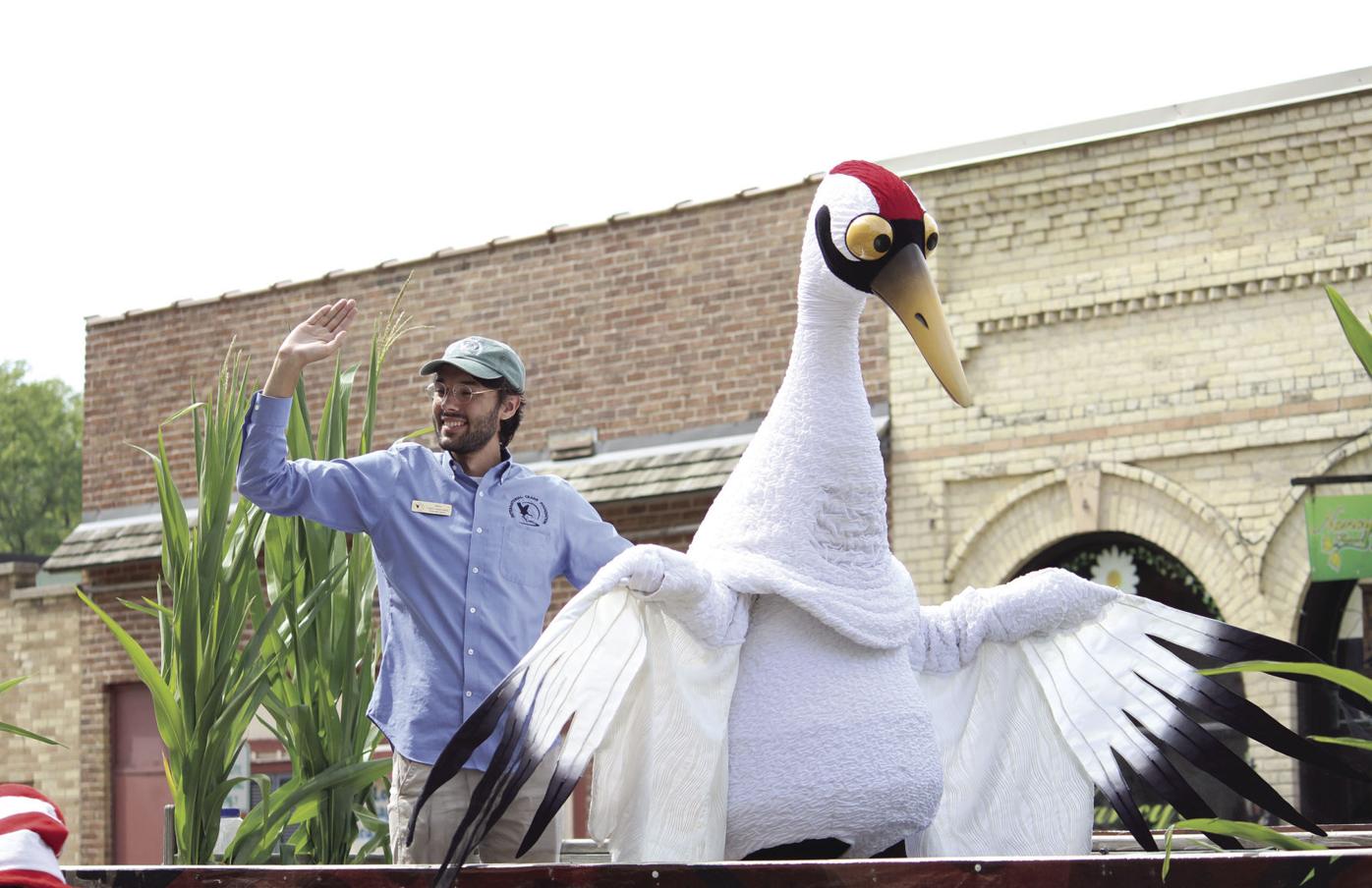 Treinen Farm To Dance With The Cranes Lodi Enterprise Hngnews Com