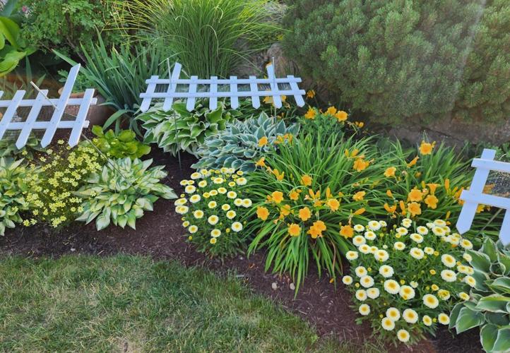 Sun Prairie's July Garden of the month offers variety of textures