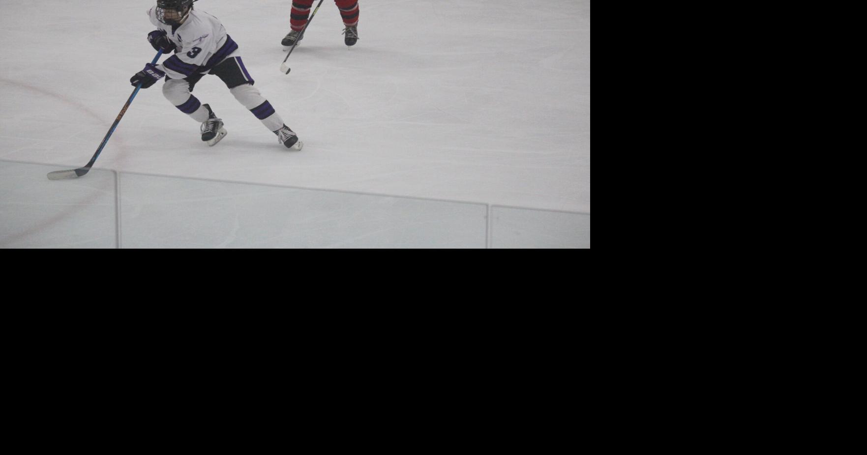 Boys hockey: Schmidt named Wisconsin Prep Hockey Player of the Week ...