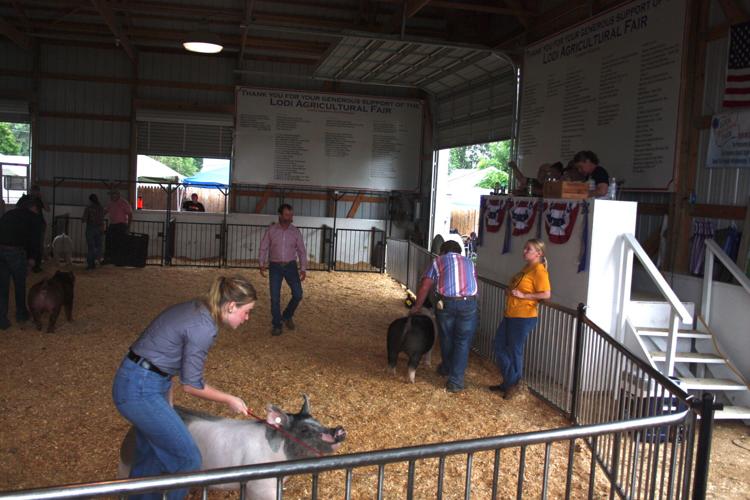 2022 Lodi Ag Fair Local