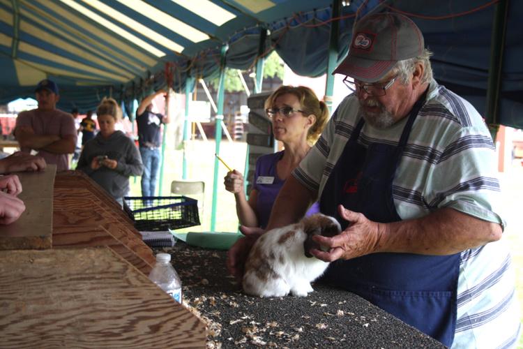 2022 Lodi Ag Fair | Local | hngnews.com