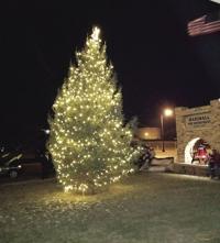 Love Light Tree