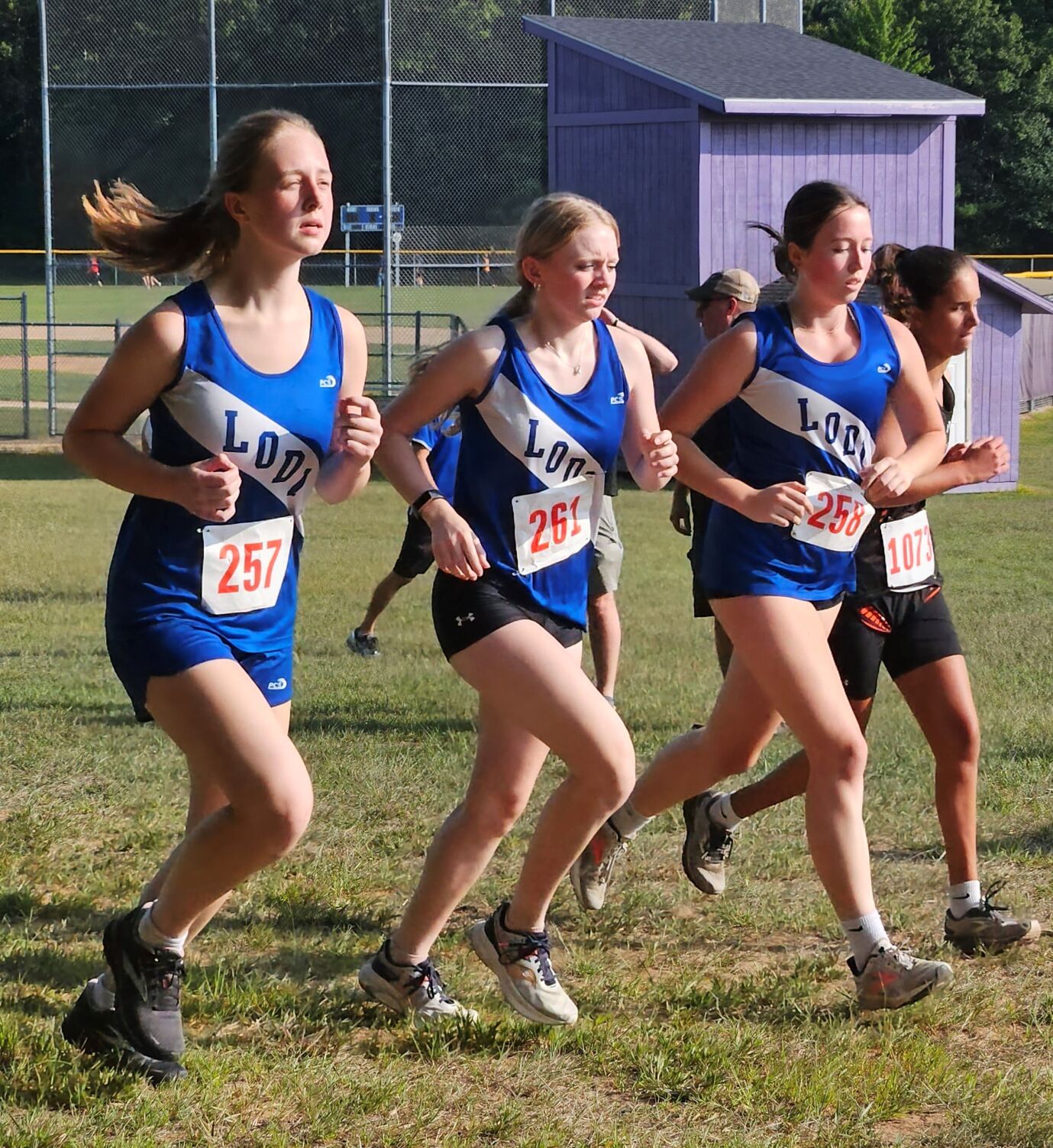 Cross Country: Lodi Boys, Girls Take Second At Westfield | Sports ...