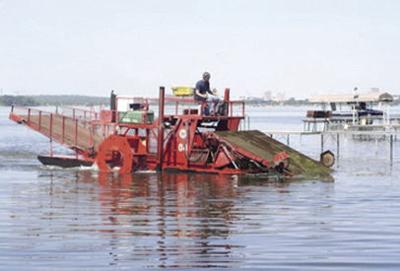 County To Pick Up Weeds From Residents Piers Monona Cottage