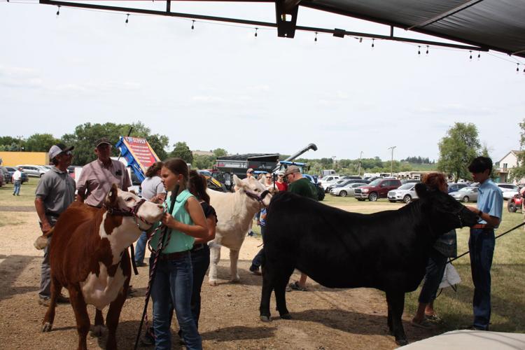 Lodi Agricultural Festival 2023 Local