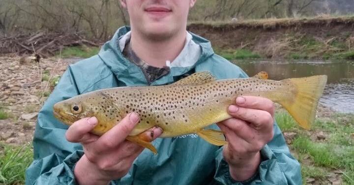 An Outdoorsman's Journal: Wisconsin Conservation Congress/Spring ...