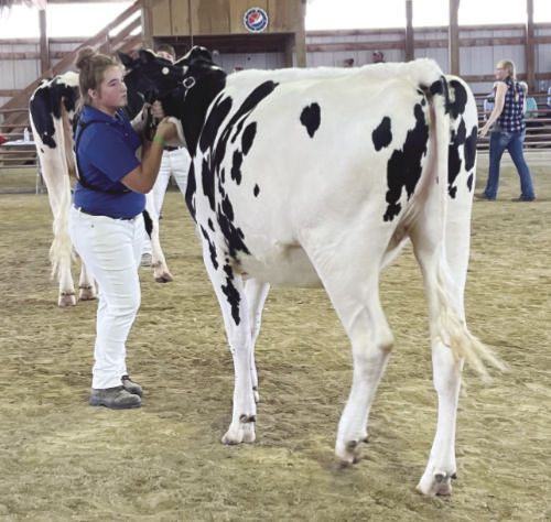 Jefferson County Fair