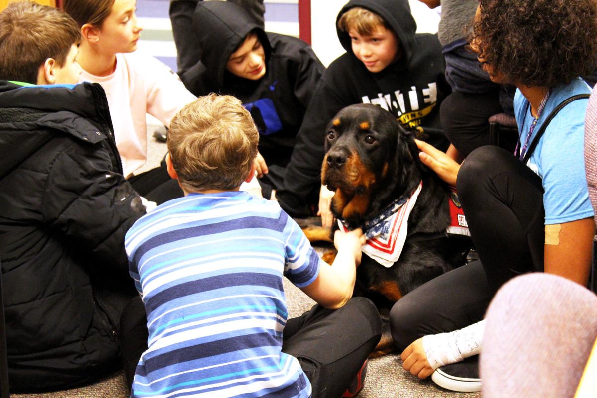 DAMS students and therapy dogs