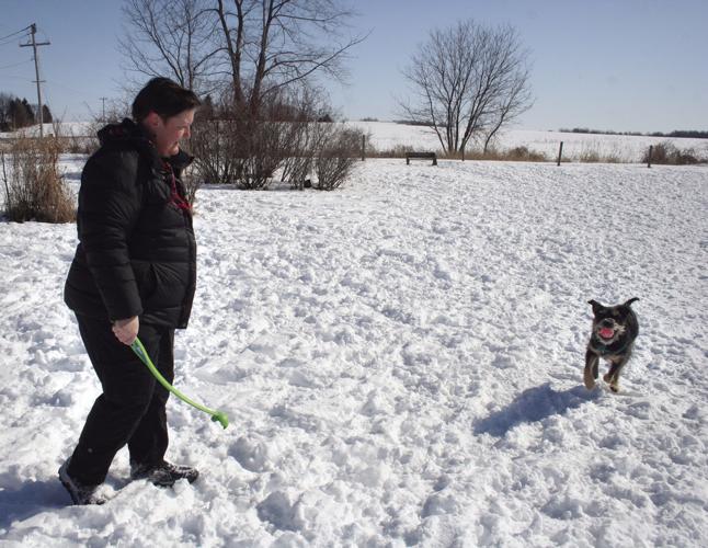 Village Board Ok S Dog Park Facility Expansion Regrading Mcfarland Thistle Hngnews Com Village Board Ok S Dog Park Facility Expansion Regrading Mcfarland Thistle Hngnews Com