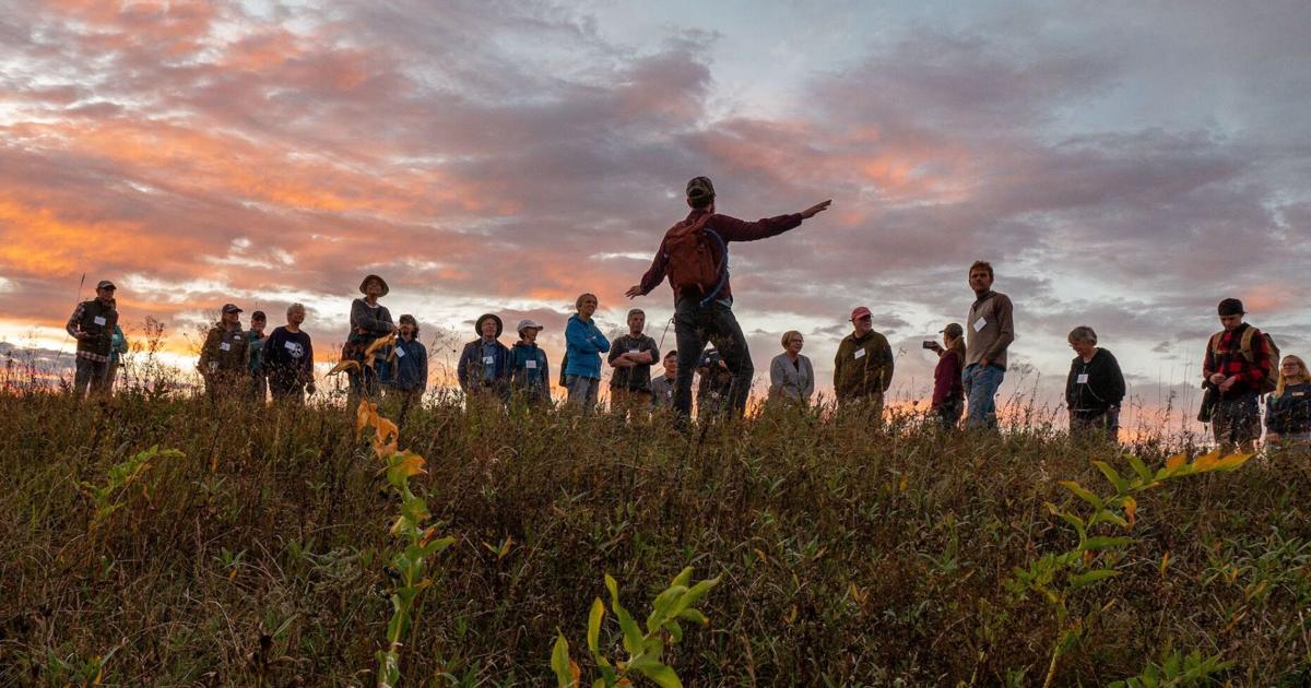 Westport Prairie-inspired poems help connect people to nature | News ...