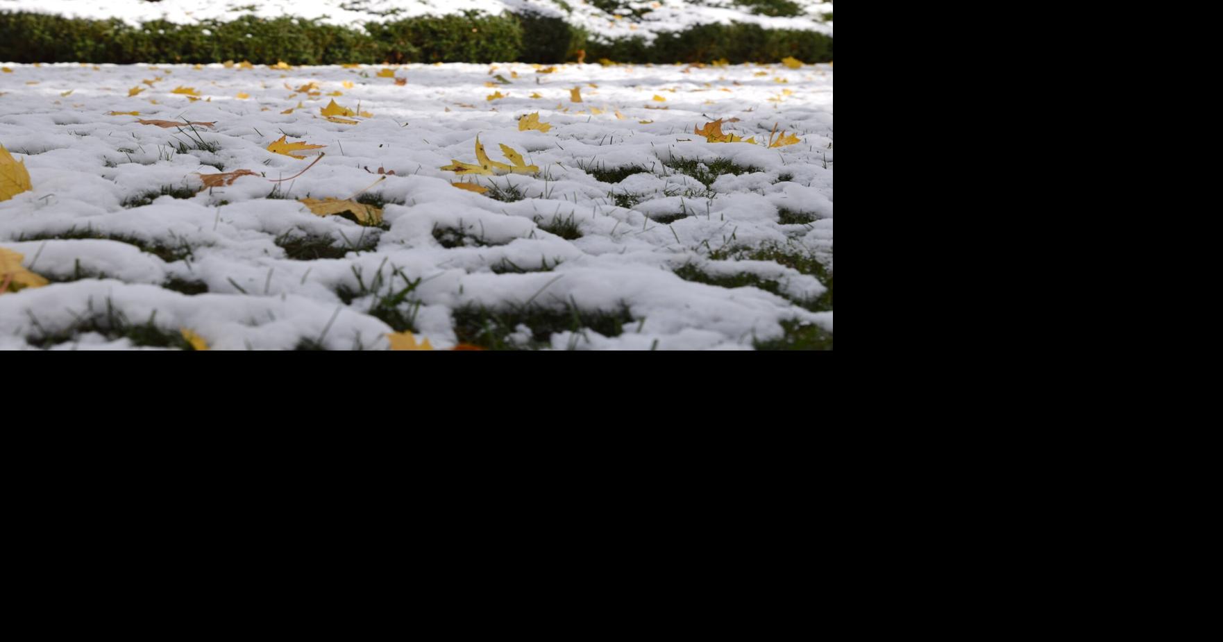 South central Wisconsin sees first snowfall of the season | News ...