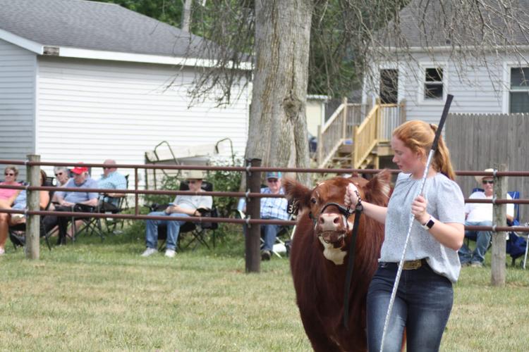 Lodi Agricultural Festival 2023 Local