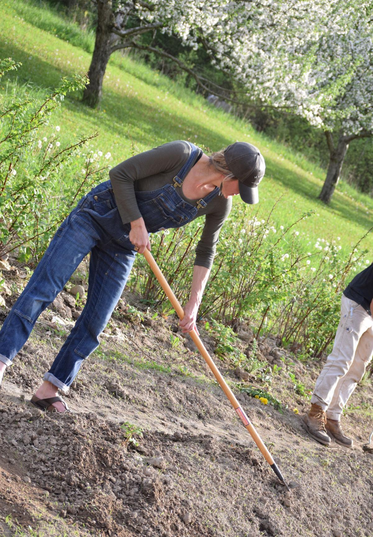 Farm to school garden 2.jpg