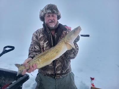 Jeff and the Burbot
