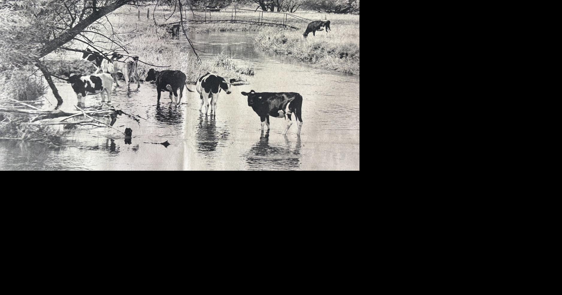 This day in Lodi history