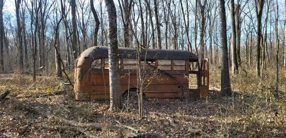 An Outdoorsman's Journal: The Love of the Hunt | Tribune Enterprise ...