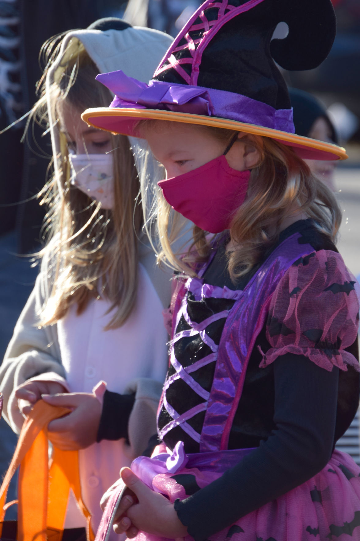 Field of Screams 5.jpg