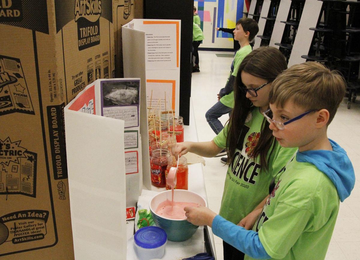 CES Science Fair
