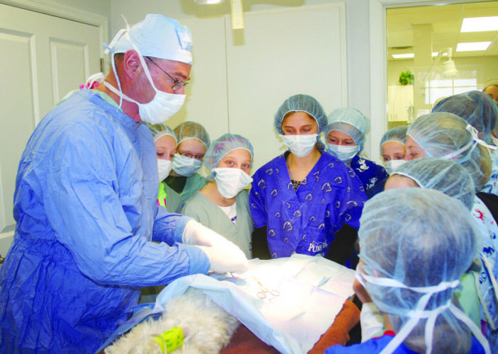 Handson learning opportunity Local