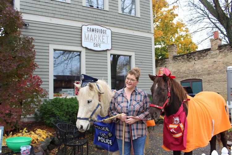 Equine visitors stop by Cambridge trick or treat Cambridge News