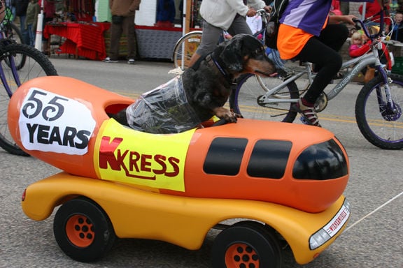 Wiener & Kraut 2014 | Waterloo / Marshall Courier | hngnews.com