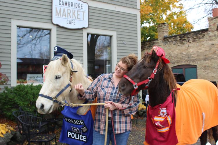 Equine visitors stop by Cambridge trick or treat Cambridge News