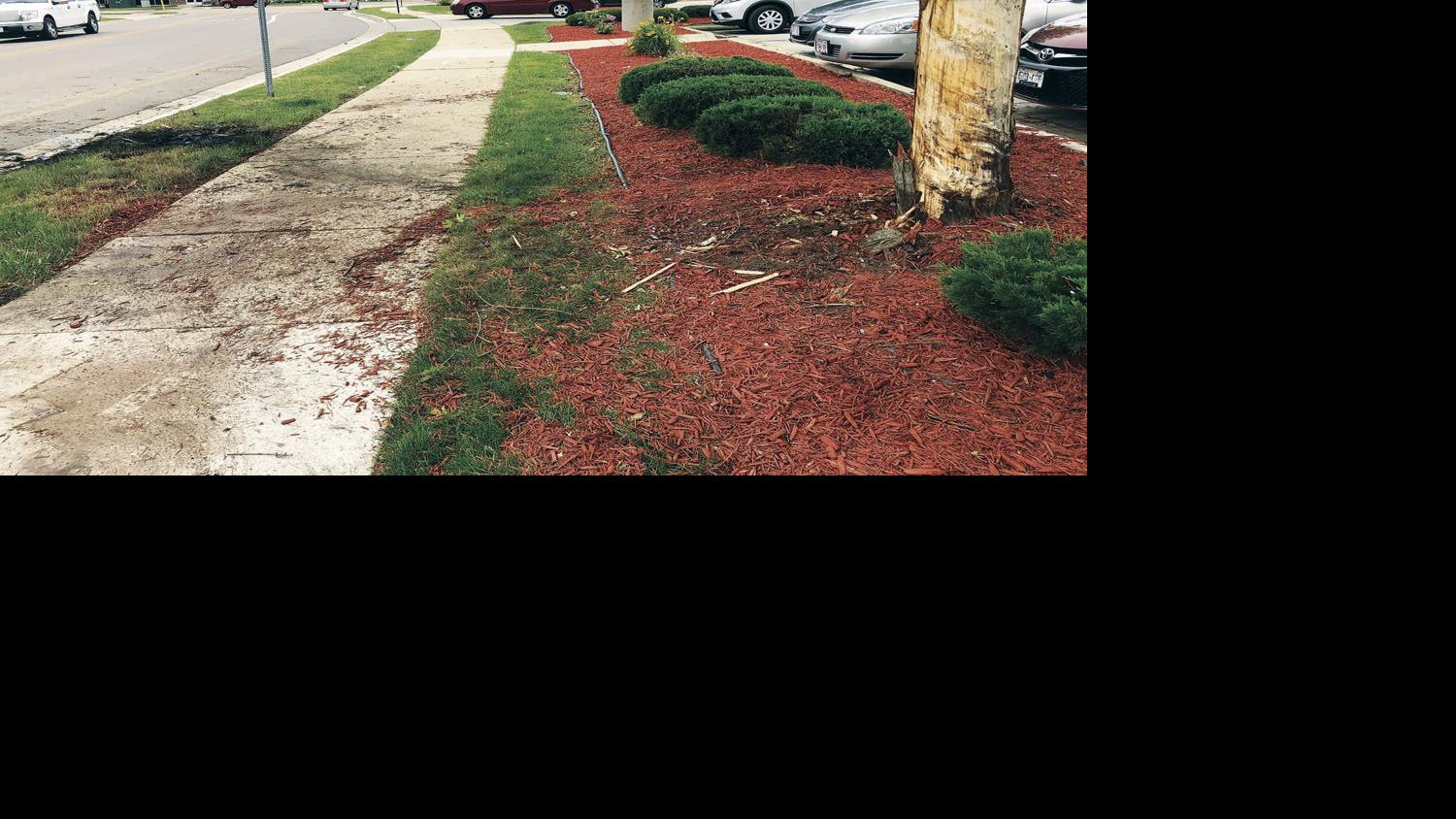 crash kills sun prairie man madison woman news hngnews com crash kills sun prairie man madison