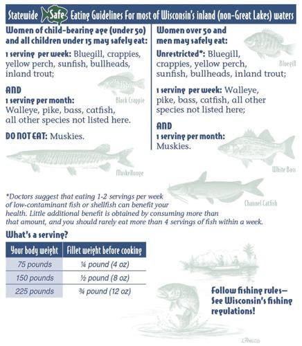 Fish Guidelines Climate change causes ‘roller coaster’ mercury levels in Wisconsin fish ...