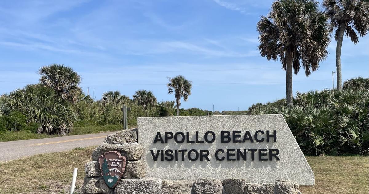 Moonlight meets turtle season at Canaveral | North Brevard ...