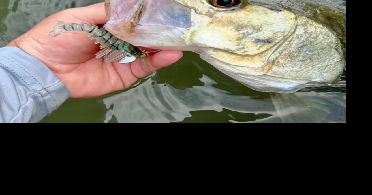 Reading the WaterPumpkin spice and redfish advice | Columns ...