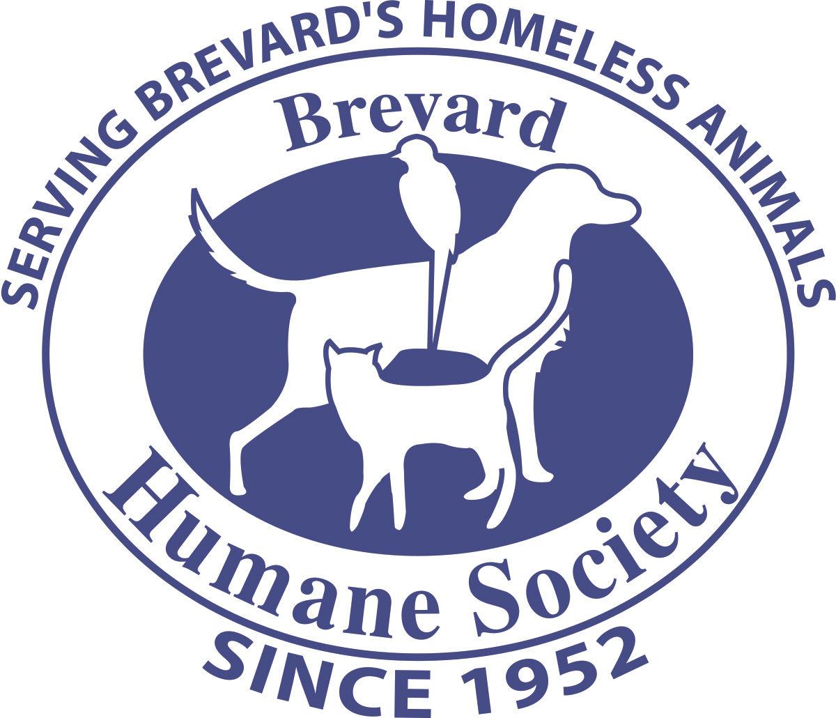25k Grant To Go Toward Free Spaying Neutering News