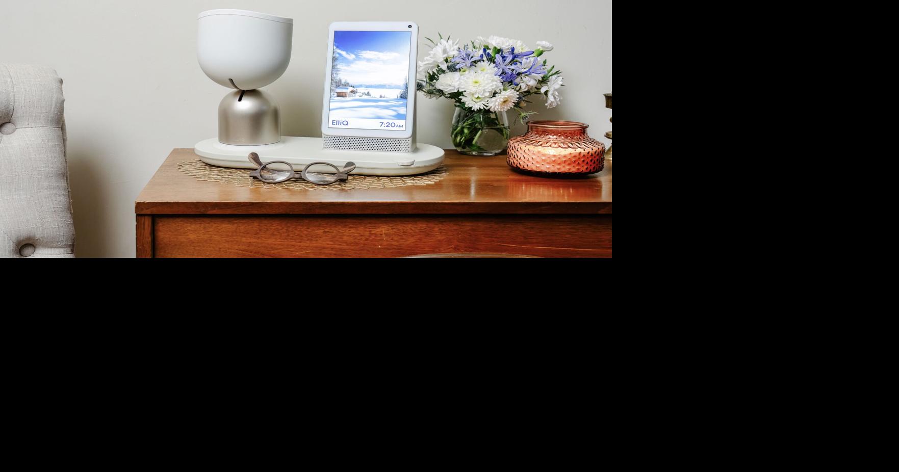 Care robot keeps seniors company, combats loneliness | Brevard County ...