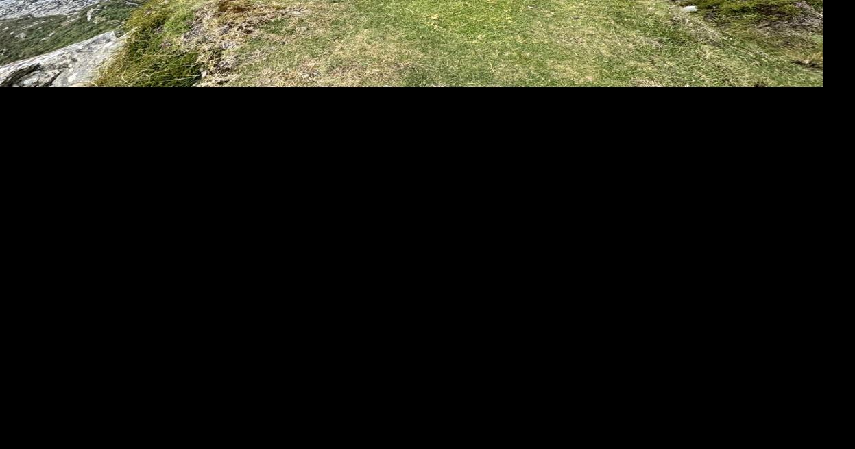 Health first helps Viera student take leadership global