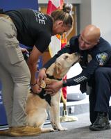 Palm Bay Police Department adds Therapy K9