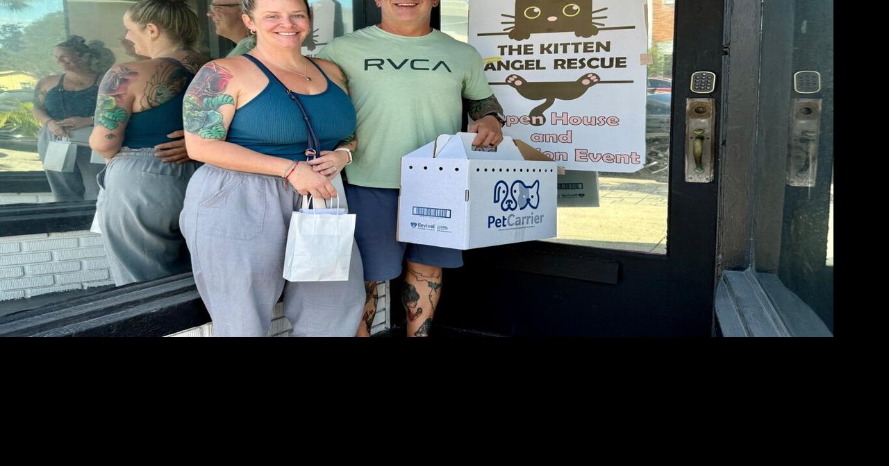 Kitten Angel Rescue fills critical gap for Brevard’s most vulnerable ...