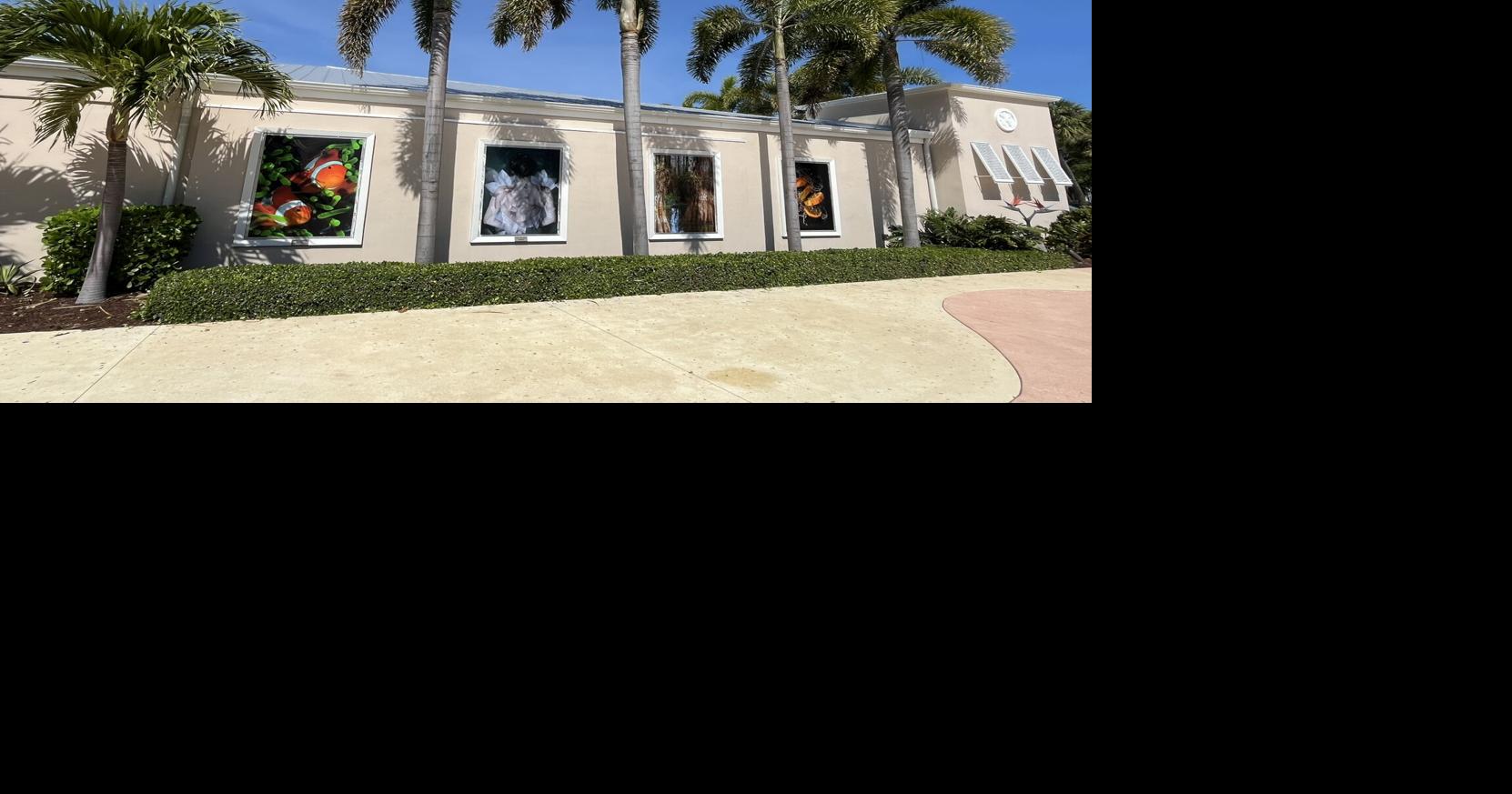 Backus Museum offers free summer admission to military families