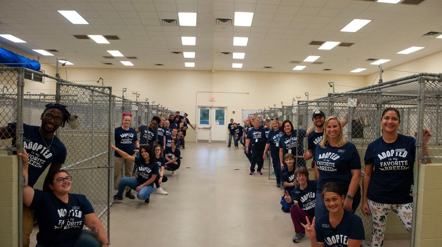 Humane Society of Vero Beach and Indian River County tries to Clear the