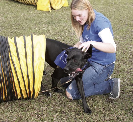 Bark at the Park - Humane Society of St. Lucie County