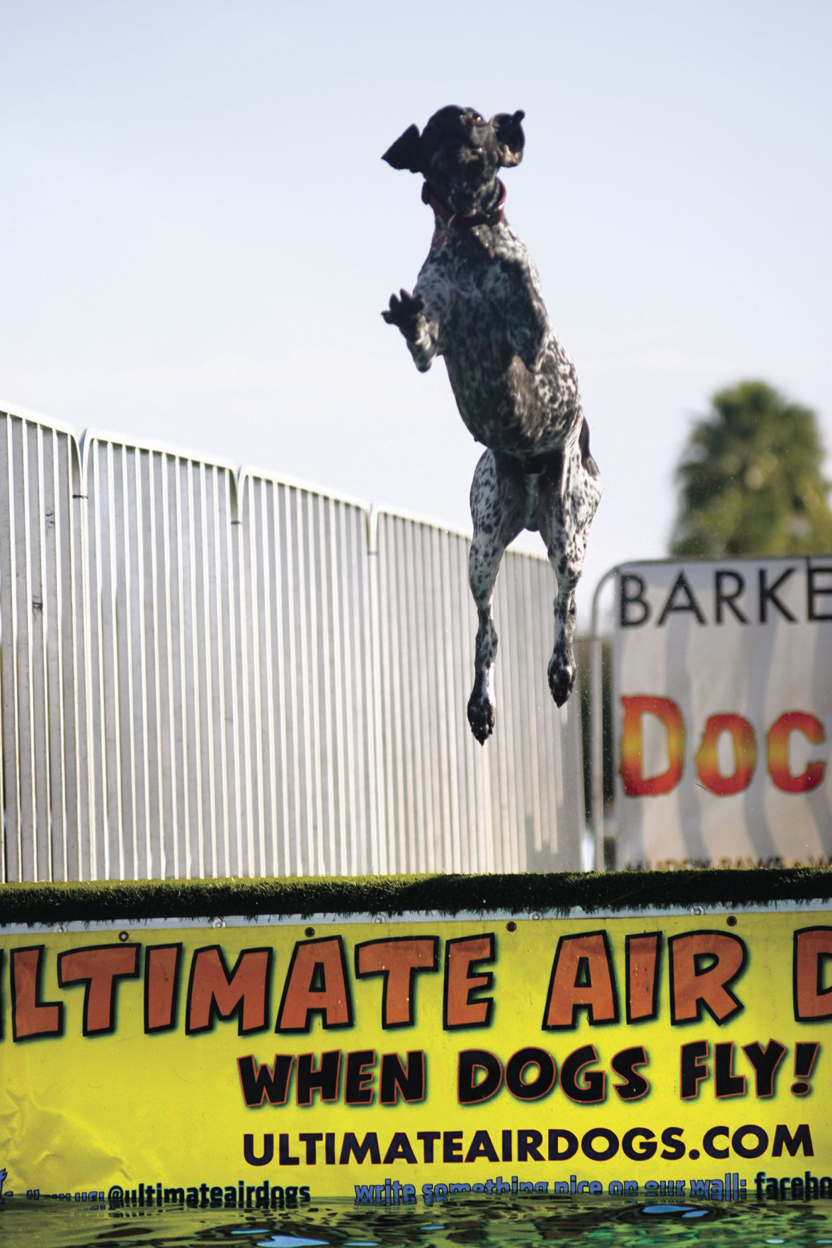 Bark at the Park - Humane Society of St. Lucie County