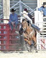 Rodeo bucking into Indiantown