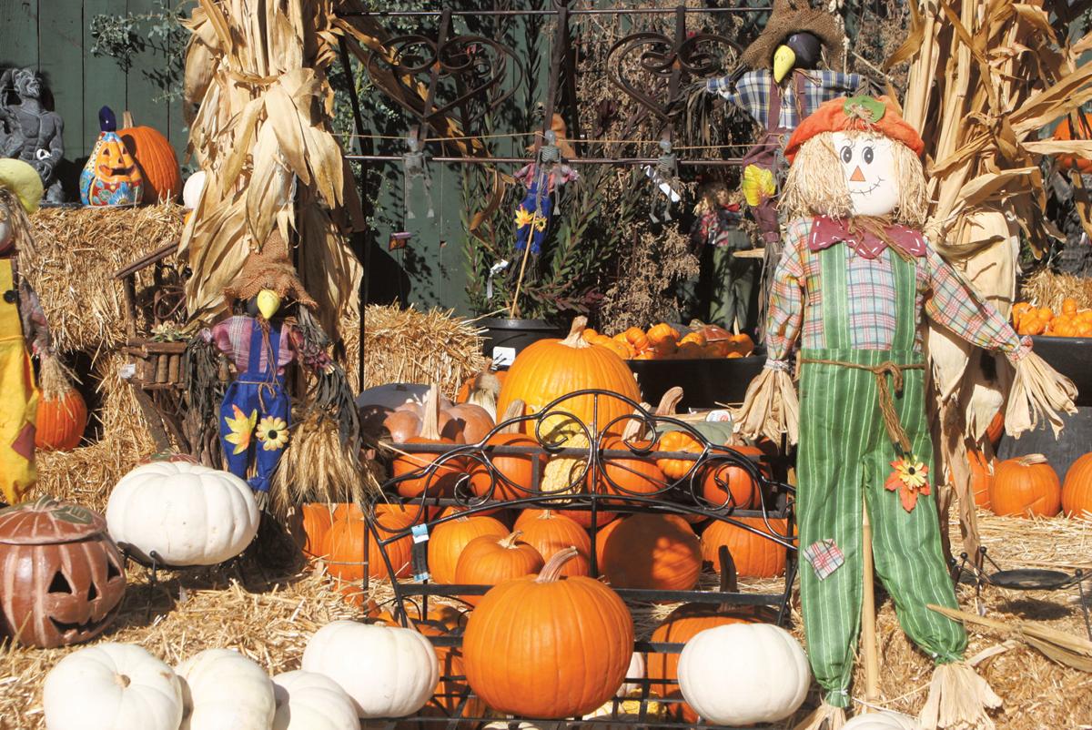 halloween port st lucie 2020 St Lucie County Sets Scary Halloween Calendar Of Events Arts Entertainment Hometownnewstc Com halloween port st lucie 2020