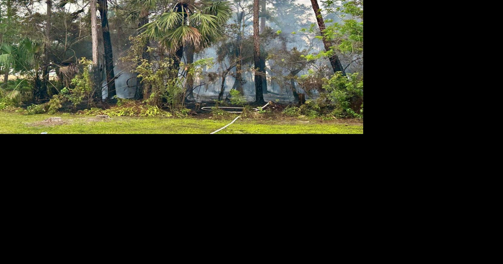 Downed power line causes brush fire in Stuart | Martin County ...