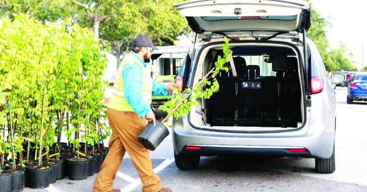 Port St. Lucie celebrates Tree City honor with 700-tree giveaway