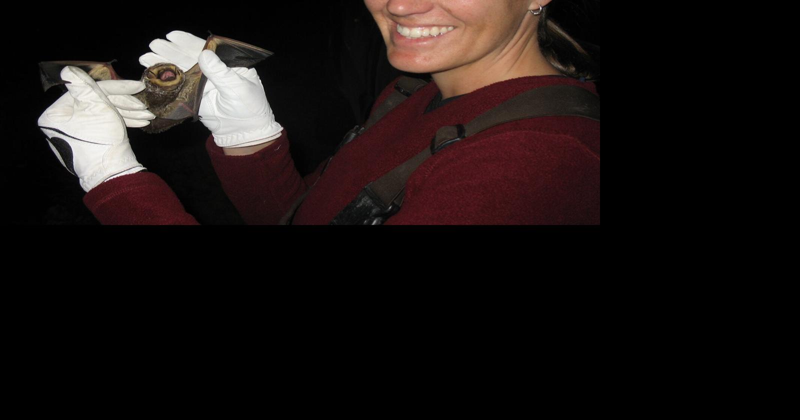 University of Florida biologist says bats are our friends | News ...