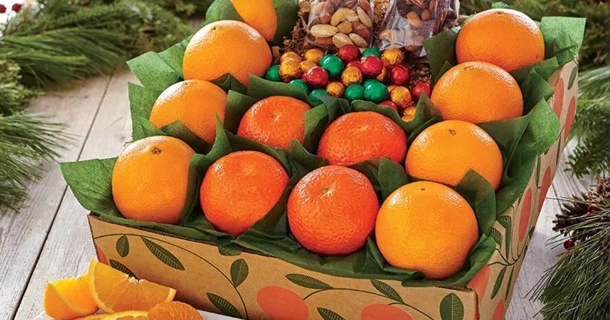 United Way, Hale Groves team again for fresh citrus, stronger community