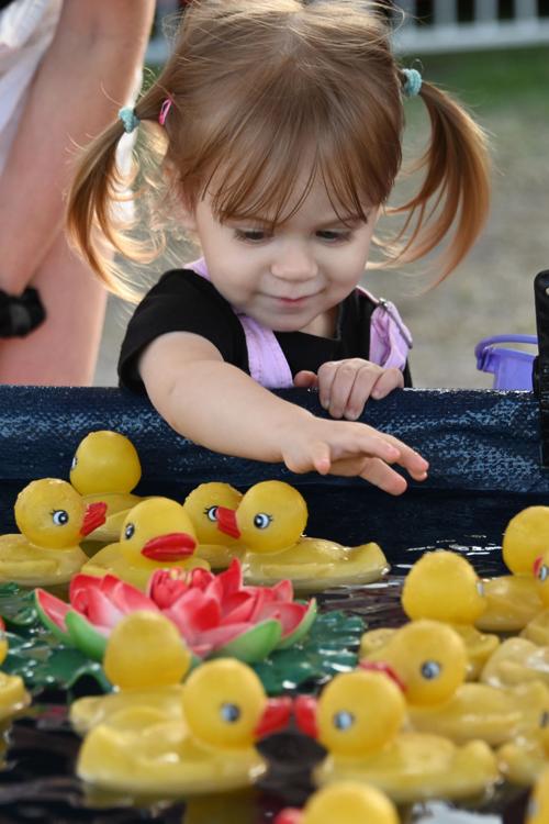 Rides, Music, Food, Livestock, Crafts and Entertainment