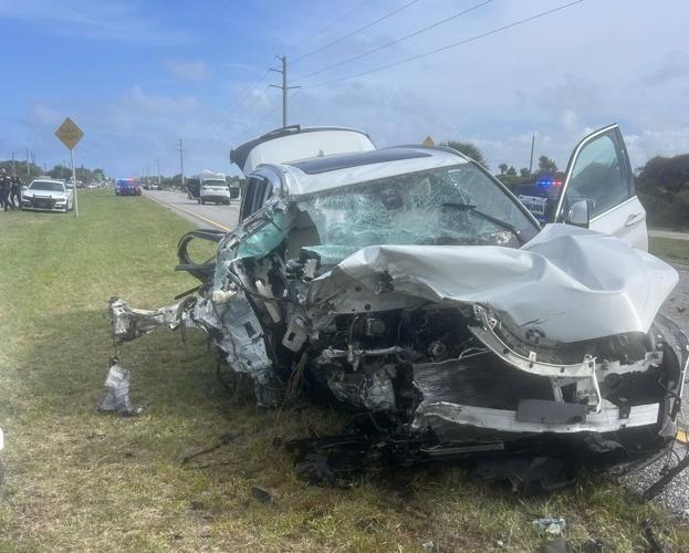 Wrong-way driver dead after crashing car into woods near Jonathan ...