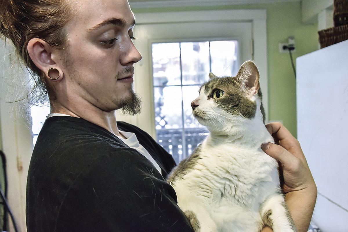It S A Good Month To Adopt A Cat News Hometownnewsvolusia Com