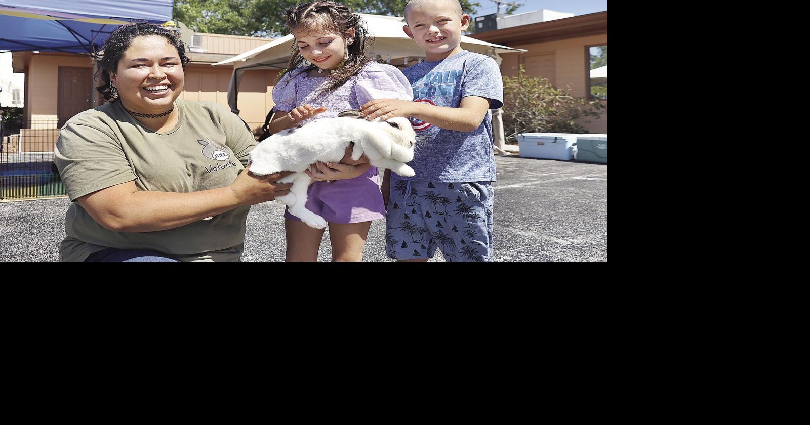 No rascally rabbits at Fort Wilbur rescue | News | hometownnewsvolusia.com